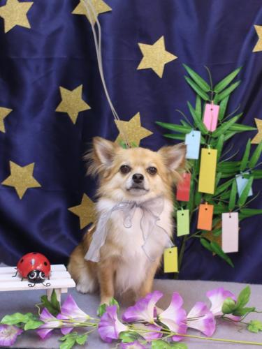 20230705かぶ蔵くん